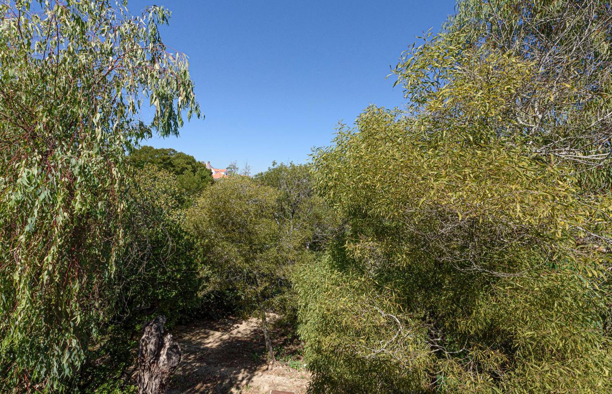 Villa Quinta De Sao Pedro Sobreda Esterno foto