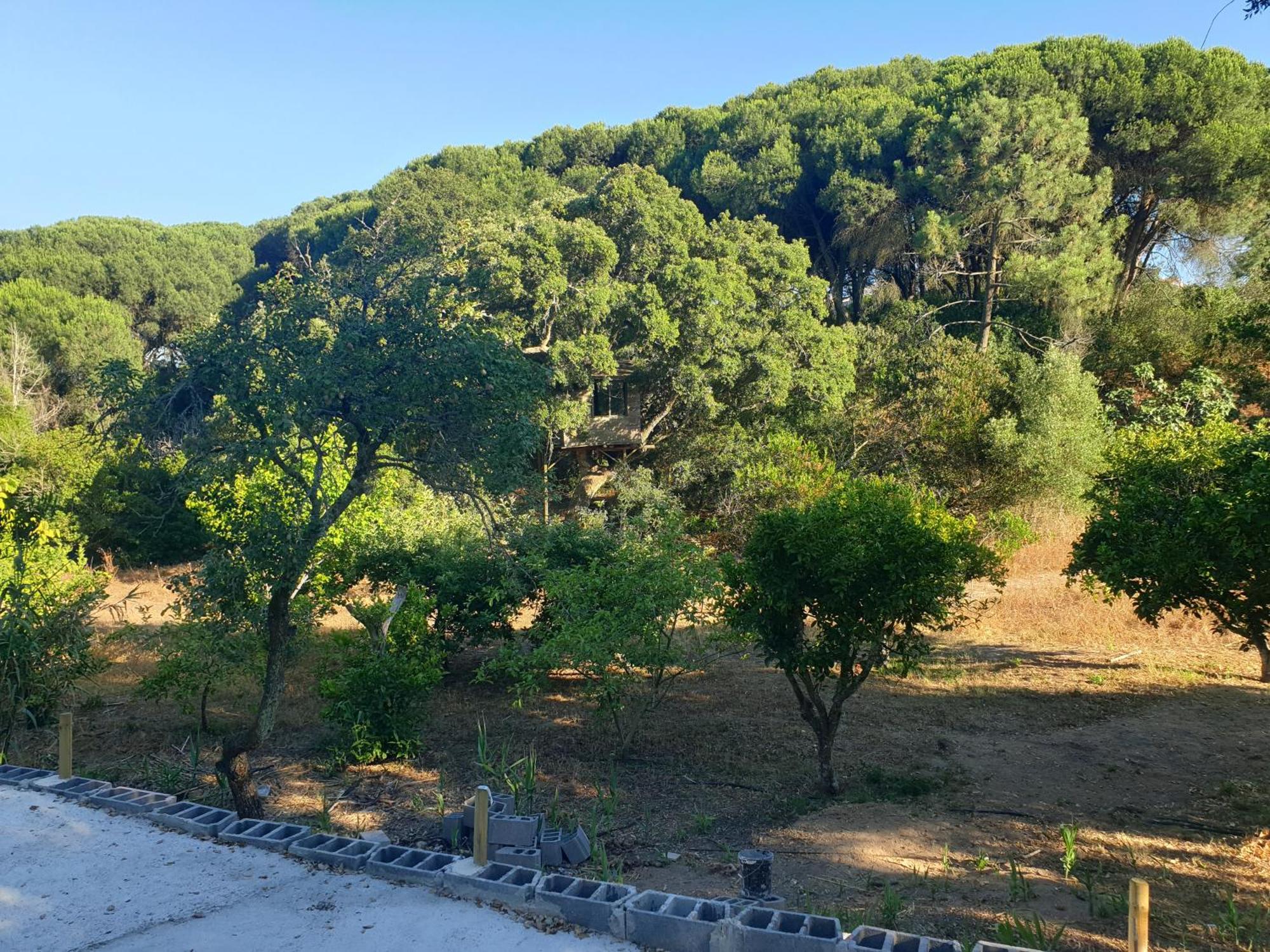 Villa Quinta De Sao Pedro Sobreda Esterno foto